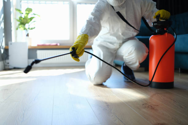 Reliable Odor Removal contractor in Parker, SC by Trauma Clean Pros